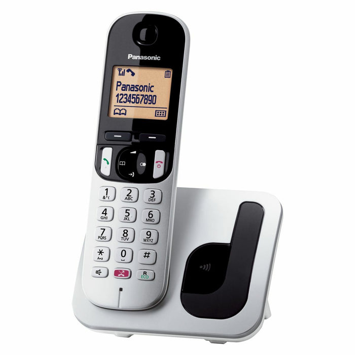 Wireless Phone Panasonic KX-TGC250SPS Grey Silver